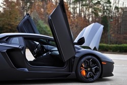 johnny-escobar:  Matte Black Aventador