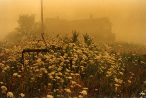 “Fog at [family] Residence, Block Island” (written on back) 1981