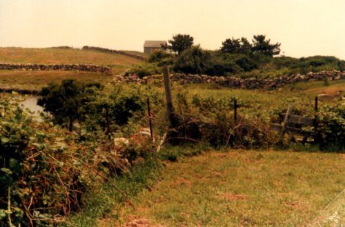 “View of Littlefield House from Yard” (written on back) 1981