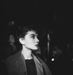 wolfcrown:     Audrey Hepburn, Mark Shaw