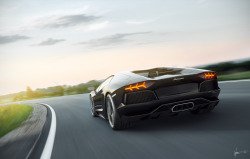 automotivated:  Lamborghini Aventador (by