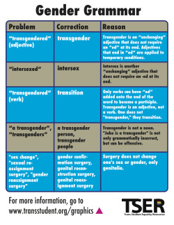 transstudent:  Gender Grammar! To learn more, click here! Click here to repost on Facebook! Click here to retweet!   Just in case you were wondering.  Also, calling me a trap, t-girl, shemale or tranny will NOT make me like you, although I do let my