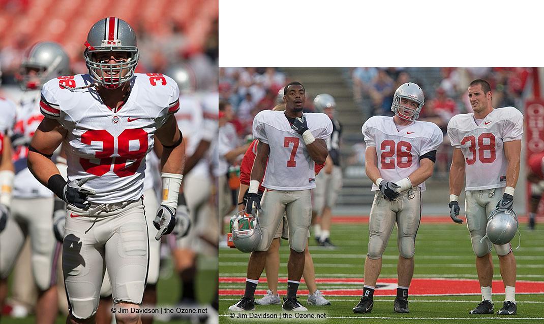 Austin Spitler, Miami Dolphins &amp; Ohio State