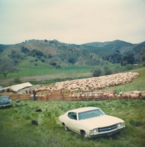 somewhere in CA (c. 1980)