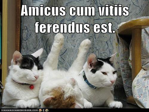 Amicus cum vitiis ferendus est.Be tolerant of your friend together with his faults.(From Bestiaria L