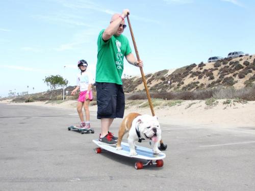 Beefy catching a ride!