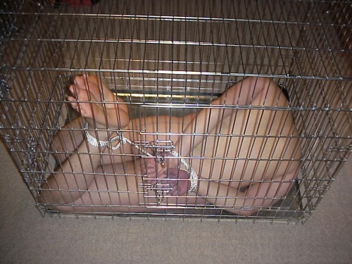 What if I kept a cage for you at my place?