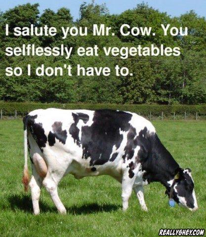 reallyghey:  For hourly humour updates - just click the picture!Facebook / Twitter