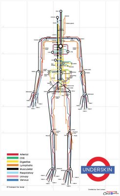 explore-blog:  So clever – the human body visualized as a subway map by designer Sam Loman, a fine addition to these visual metaphors using he London Tube map. Also see these vintage illustrations envisioning the body as a machine. 