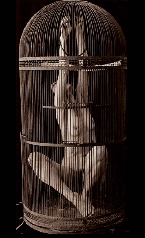 animageisha:  Patti Levey© – “Birdcage”