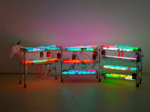 owenhouhoulis: Artist: Jason Rhoades