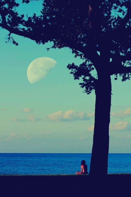 In My Mind's Eye