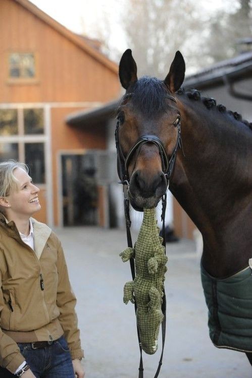 flicksykittys-corner:  loves-horses:  okay, this is cute!  LOOKITME, MOM, I KILLED