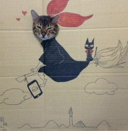 teammurdercycle:  kittehkats:  A cat with character, a cardboard box with a hole in it, and some drawing skill.  oh my god. HIBARI. RIN. KYUUBY. AT THE END THERE. I CANT