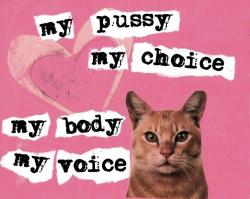 mrsnoggle:  My Pussy My Choice My Body My
