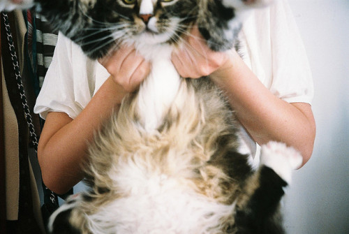 pipsss:  untitled by Among Dreams on Flickr. 