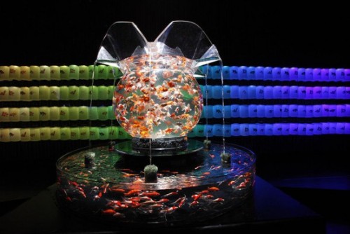 dearbuddha:Art Aquarium Exhibition in TokyoVisitors watch “kingyo,” or goldfish, swimming in a polyh