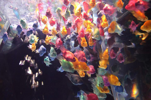 dearbuddha:Art Aquarium Exhibition in TokyoVisitors watch “kingyo,” or goldfish, swimming in a polyh