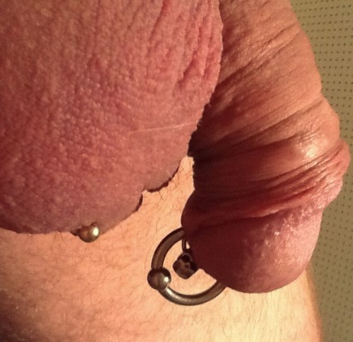 Porn Pics Different ways of piercing