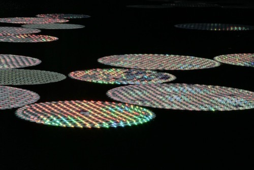 rerylikes: Bruce Munro - Waterlilies Giant Waterlilies made out of recycled CDs at Large 