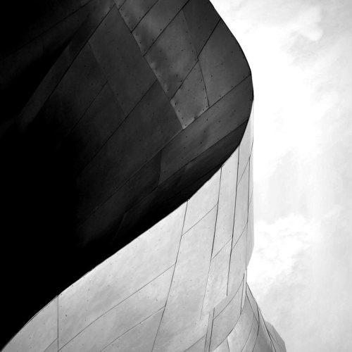 fiore-rosso:  Frank Gehry. 