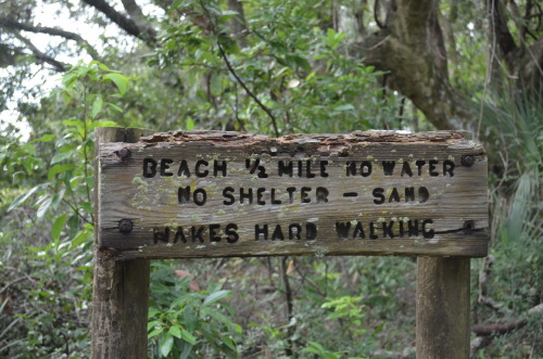 angels-lust: another sign on cumberland island, ga