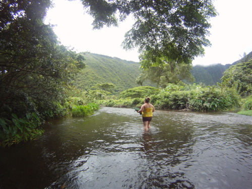 My Lu'au spot&hellip;every kanaka should have one!