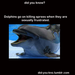 murth:  did-you-kno:  Source  LET ME BE A DOLPHIN. 