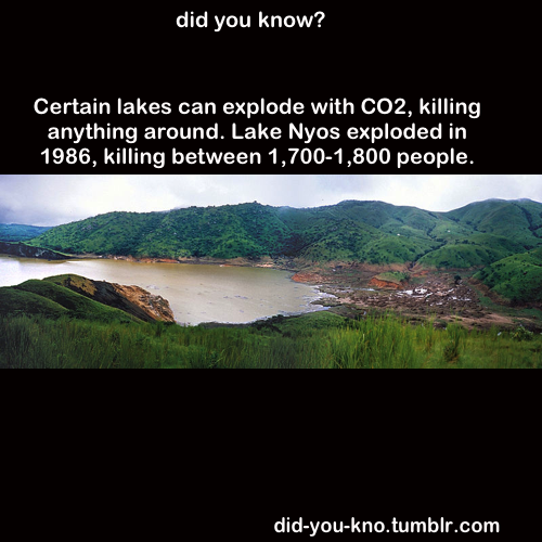 did-you-kno:  Source