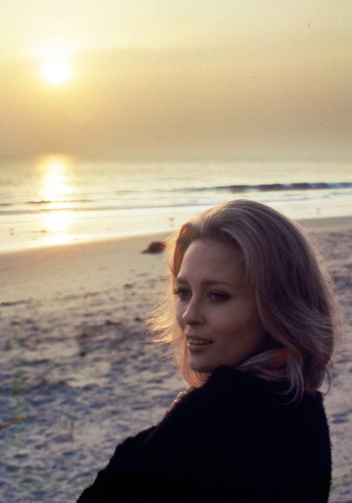 theswinginsixties:Faye Dunaway