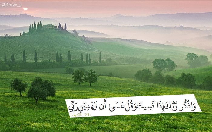بعضٌ من شتات التفاؤل