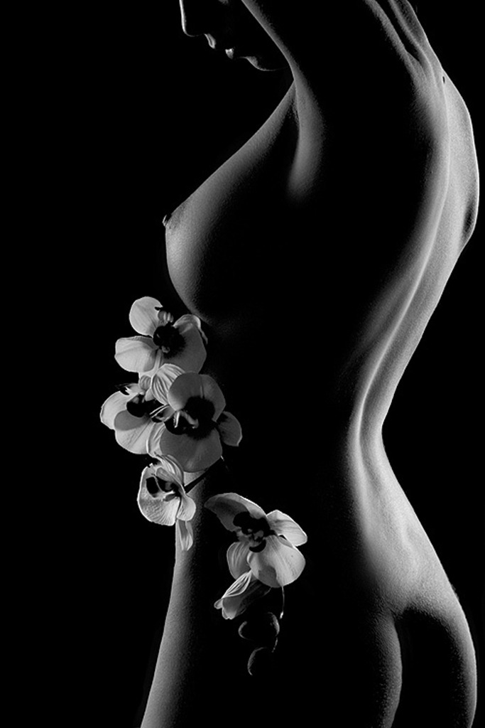 ana_simplesmente