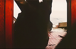 captainwarbuckle:  31 Days of Horror » Film 12: Jaws (1975) 