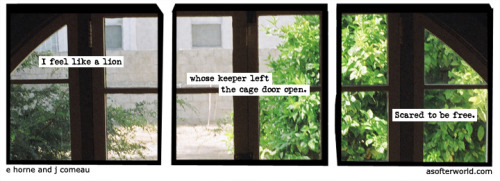 softerworld:  A Softer World: 880 (this cage is all I know.) buy this print 
