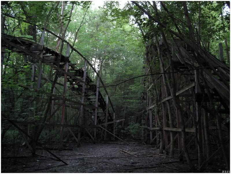 pianokeyteeth:  I love abandoned roller coasters. I believe this photo was taken