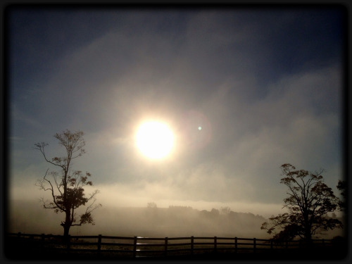 UConn mornings, Storrs, CT