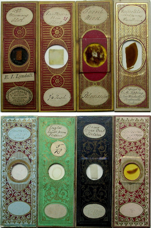 GorgeousVictorian Mounters For Microscope Slides