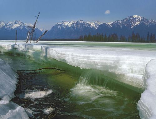 Spring in Chara Valley, Eastern Siberia, Russia.