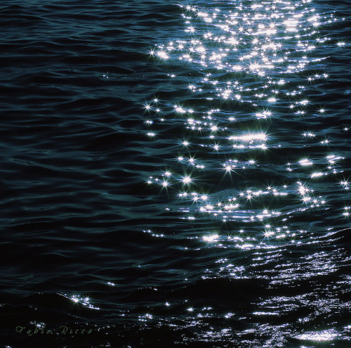 allofusdust:  ••• Stars ••• by Fabio Ricco on Flickr. 