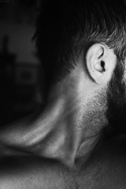 lalalana13:  Wowowowowowow. I love necks and backs and shoulders. This is just awesome. 