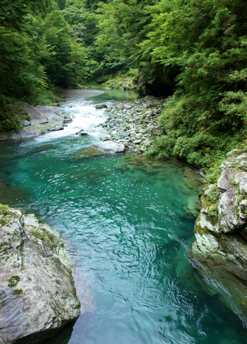 rorschachx: Ino-cho, Kochi Prefecture, Japan | image by araget