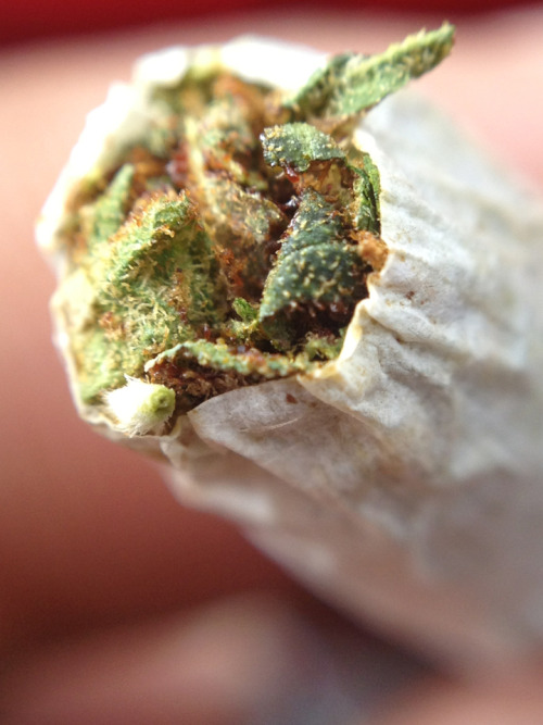 justclutch:  Talk about close up 