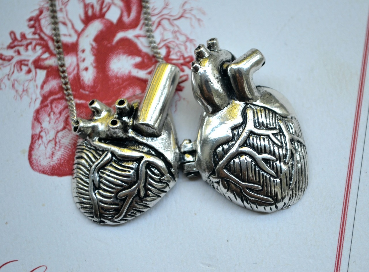wickedclothes:  Wicked Clothes is proud to present our newest product: the Anatomical