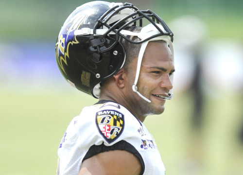 Baltimore Ravens Brendon Ayanbadejo. Spoke out against the anti-marriage amendment in MD.