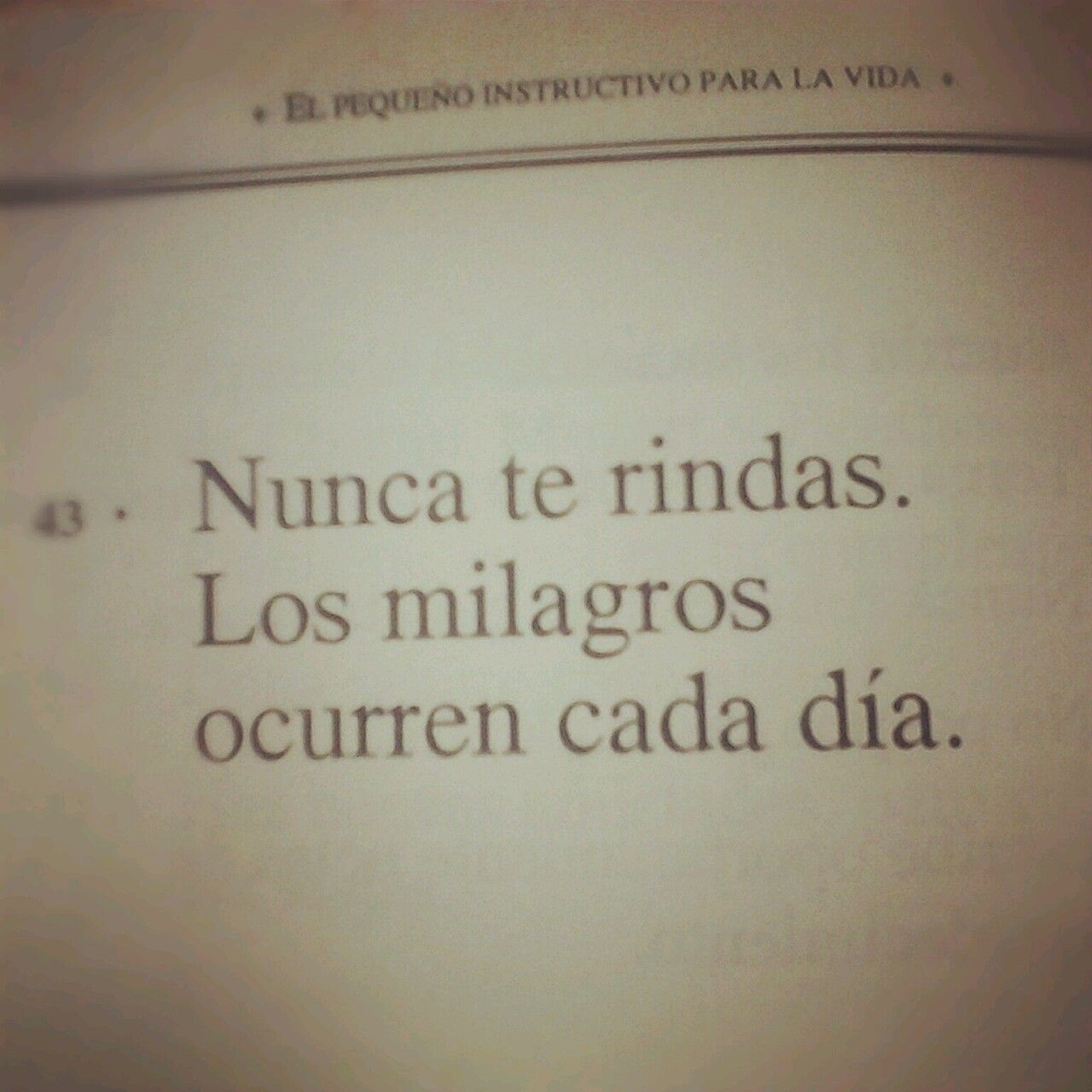 "Poesía y cerveza"♡