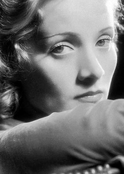 classiquehollywood:  wehadfacesthen: Marlene