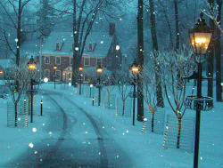 bluepueblo:  Snowy Lane, New Hope, Pennsylvania photo via prufox