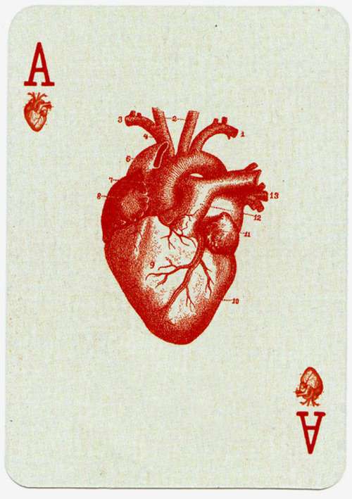likeafieldmouse:  Ace of Hearts