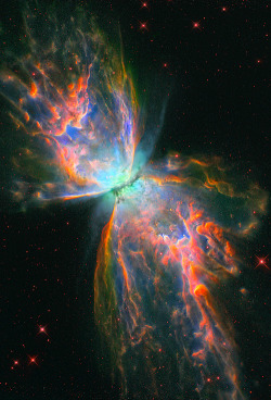 weareallstarstuff:  Butterfly Nebula 