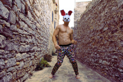 Rocco - The Sicilian Hare ♥  Alexanderguerra.com - 2012 *Follow Me On Instagram